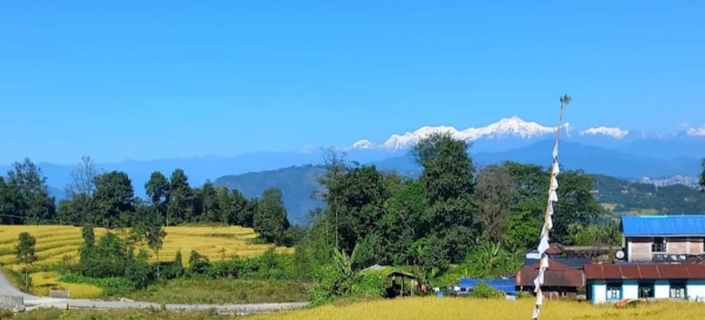 Lake View Homestay